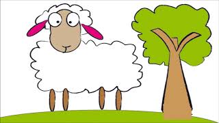 MARY HAD A LITTLE LAMB- Nursery rhymes for children
