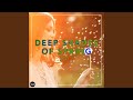 The Cube (feat. Idil Mese) (Acid Pauli's Papito Remix)