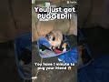 Pugged.#gtag #youtube #gorillatag #sub #vr #vr #fypシ #meme #monke #gorillatagfun #pug #capcut