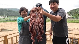 대왕문어로 만든 [[문어숙회(Parboiled Huge Octopus)]] 요리\u0026먹방!! - Mukbang eating show