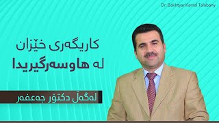 کاریگەری خێزان لە پرۆسەی هاوسەرگیریدا | بەرنامەی نۆماڵ - لەگەڵ دکتۆر جەعفەر عومەر