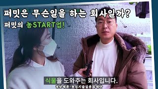 [퍼밋] 퍼밋 실내딸기 농장을 만드는 이유는??