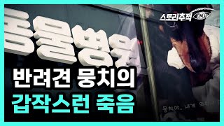 반려견 뭉치의 갑작스런 죽음 MBN 220623 방송