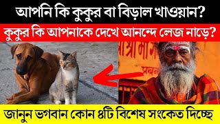 কুকুরের লেজ নাড়ানো ও বাড়িতে বিড়ালের বাচ্চা দেওয়া কি সংকেত দেয়। Good times dog sign