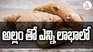 Health Benefits of Ginger  అల్లం తో ఎన్ని లాభాలో తెలుసా | Eagle Health