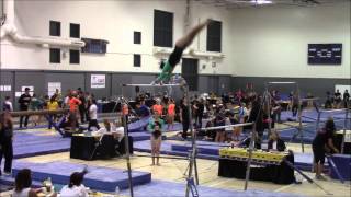 2015 Bars Highlights