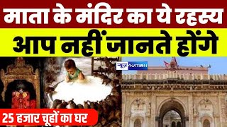 Karni Mata Mandir Mystery:  600 साल पुराने माता के मंदिर का ये रहस्य,  25 हज़ार चूहे का घर