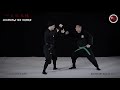 基本八法 kihon happō 一文字之構 ichimonji no kamae 伝承シリーズ denshō series 忍術 ninjutsu