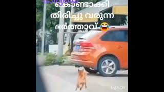 ഹോ രക്ഷപെട്ടു 😂#Malayalam comedy short vedio#shortsfeed#Adhil's Creations#trending shorts#youtube