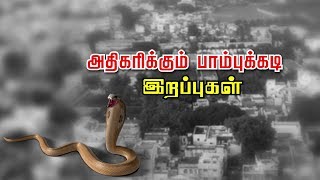 அதிகரிக்கும் பாம்புக்கடி இறப்புகள்...