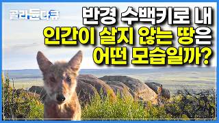 겨울 영하 50도 여름 영상 50도, 인간이 밟을 수 없는 땅에 카메라를 설치했더니 찍힌 놀라운 광경들｜지구상 최후의 오지｜다큐프라임｜#골라듄다큐