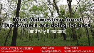 what midwestern landowners can do about the loss of bats