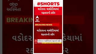 Vadodara Accident | વડોદરામાં બેફામ કારે 8 વાહનોને લીધા અડફેટે, 3 લોકો ઘાયલ