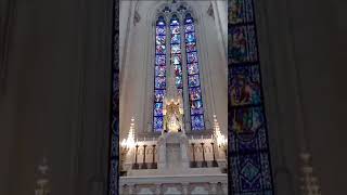 Catedral de La Plata.#4 La Plata Capital de la provincia de Buenos Aires 🇦🇷