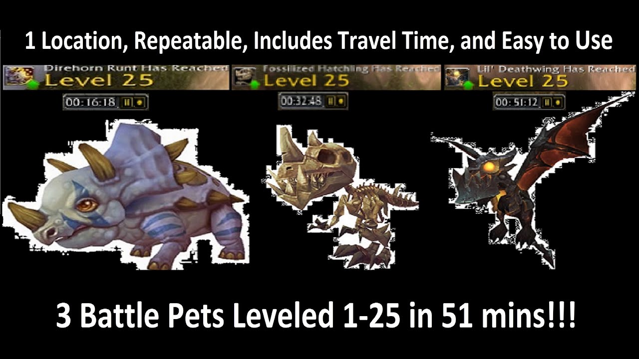 Fastest Battle Pet Leveling In WoW 1-25 In 16 Mins!!! (5.4 MoP Approved ...