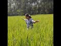 ಸುಗ್ಗಿ 🙏🏻🌾