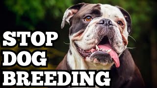 Stop Breeding Dogs - Pedigree of Evil