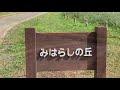 電動車椅子でひとり旅👩‍🦽国営ひたち海浜公園 赤い絨毯のコキアを見に行く！