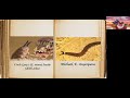 bio 111 sec 5 final phylogenetic project onychophora velvet worms