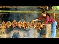 Smoked Duck Making Process | corn harvest - Phùng Thị Chài