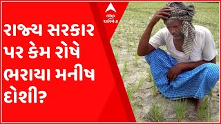 પ્રદેશ કોંગ્રેસના પ્રવકતા મનીષ દોશીએ રૂપાણી સરકારને કેમ લીધી આડે હાથ?, જુઓ વિડીયો