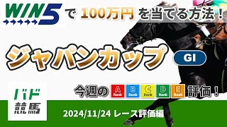 【WIN5で100万円：レース評価編】2024年11月24日（日）ジャパンカップ【競馬】