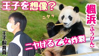 【パンダアイドル楓浜】王子飼育員をしばらく見ていない🐼は乙女になる♡でもお客さんの前では堂々の大女優に変身します（笑）