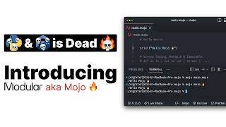 Mojo Programming Language: A Performance Comparison