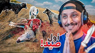 حياة الذيب #16 | الجراء كبرت وصارو يصيدون معاي WolfQuest: Anniversary Edition