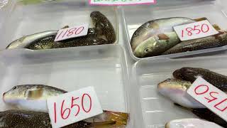 道の駅笠岡ベイファーム直売所鮮魚コーナー10/23