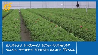 በኢትዮጵያ የመጀመሪያ የሆነው የአትክልትና ፍራፍሬ ማቀዝቀዣ ኮንቴይነር ስራውን  ጀምሯል