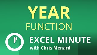 Excel YEAR Function | Excel One Minute Functions Explained