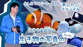 おしえて！トリーター　第8回「さきやま館長と生き物の写真のおはなし」