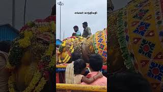 எங்கள் காந்திமதி💛 #nellai #nellaiappartemple #nellaiappar #tamil  #nellaiappar_kanthimathi_temple