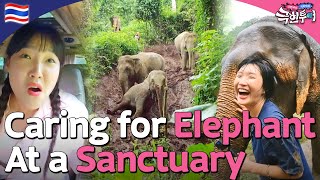 Connect with Elephants at a Thai Sanctuary 💜🐘 | Extreme Tour ep. 2-2