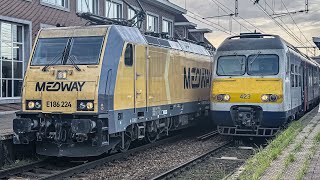 Train at Aarschot Station (4K) with HLD 55 ! 24-11-24