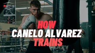 Canelo Alvarez's Unreal Training Routine | Full Breakdown