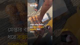 ৩৬ লাখ টাকার ইয়াবা পাচারকালে গ্রেপ্তার এক | Yaba Trafficking