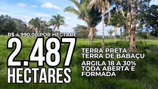 2.487 HECTARES POR R$ 12.4 MILHÕES - TERRA DE CULTURA - TODA ABERTA E FORMADA - FAZENDA A VENDA