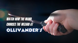 Wand Ceremony - Ollivander's Wand Shop - Wizarding World of Harry Potter -Universal Studios, Orlando