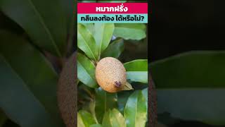 กลืนหมากฝรั่งลงท้องได้หรือไม่?  #รู้ไว้ใช่ว่า #science #facts