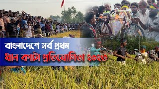 Dhan kata protijugita। ধান কাটা প্রতিযোগিতা। বাংলাদেশের সর্বপ্রথম ধান কাটা প্রতিযোগিতা ২০২৩।