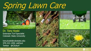 Spring Lawn Care 2020