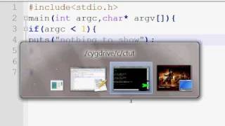 linux programming implementing echo command in c