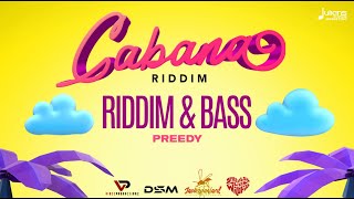 Preedy - Riddim & Bass (Cabana Riddim) | 2021 Soca | Official Audio