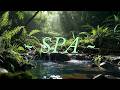 Woodland Creek Flow  Relaxation Zen  No Ads 3h