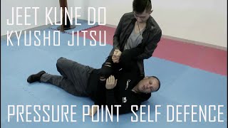 |HD| Jeet Kune Do & Pressure Point ( Kyusho Jitsu- Dim Mak)| Ri Chu Martial Arts Institute
