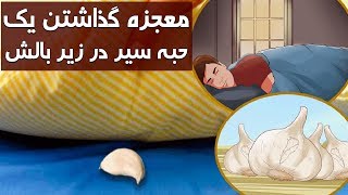 فواید گذاشتن یک حبه سیر زیر بالش - کابل پلس | Kabul Plus