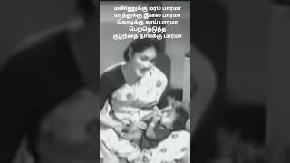 Mannukku Maram Baaramaa: Thai Piranthal Vazhi Pirakkum