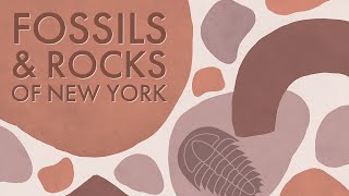 Fossils \u0026 Rocks of Central New York | Learn about the Region's Geologic History | Kopernik FNL